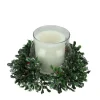 6" Clear and Green Boxwood with Berry Tipped Christmas Hurricane Pillar Candle Holder