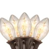 25 Count Clear C7 Christmas Lights, 24ft Brown Wire
