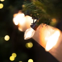 25 Count Clear C7 Christmas Lights, 24ft Brown Wire