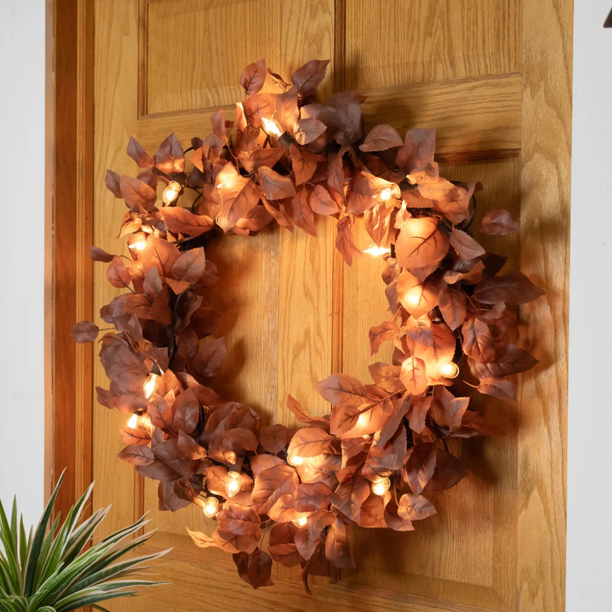 25 Count Clear C7 Christmas Lights, 24ft Brown Wire