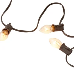 25 Count Clear C7 Christmas Lights, 24ft Brown Wire