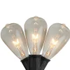 10 Count Clear Edison Glass Patio Lights, 9ft Black Wire