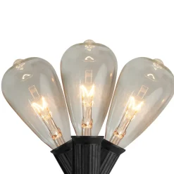 10 Count Clear Edison Glass Patio Lights, 9ft Black Wire