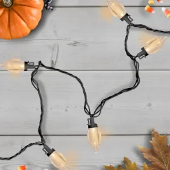 25 Count Warm White LED C9 Christmas Lights, 16 ft Black Wire