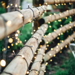 100 Count Warm White LED Solar Power Mini Christmas Light Set with Green Wire