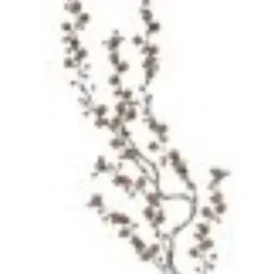 36" Gold Juniper Rose Glittered Artificial Christmas Spray