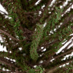 2' Green and Brown Warsaw Twig Artificial Christmas Tree with Burlap Base - Unlit