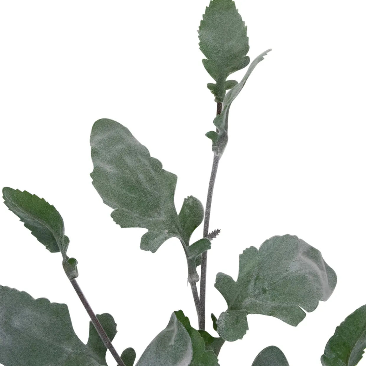 32" Green Frosted Oak Leaf Artificial Christmas Spray