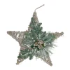 24" Green, Gray, and Brown Frosted Mixed Pine Hanging Star Christmas Ornament