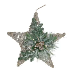 24" Green, Gray, and Brown Frosted Mixed Pine Hanging Star Christmas Ornament