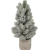 16" LED Lighted Mini Frosted Pine Christmas Tree in Cement Base