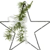 11" LED Lighted Star with Rosemary Sprig Christmas Decoration, Warm White Lights