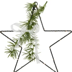 11" LED Lighted Star with Rosemary Sprig Christmas Decoration, Warm White Lights