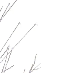 6' LED Lighted White Birch Christmas Twig Tree - Pure White Lights