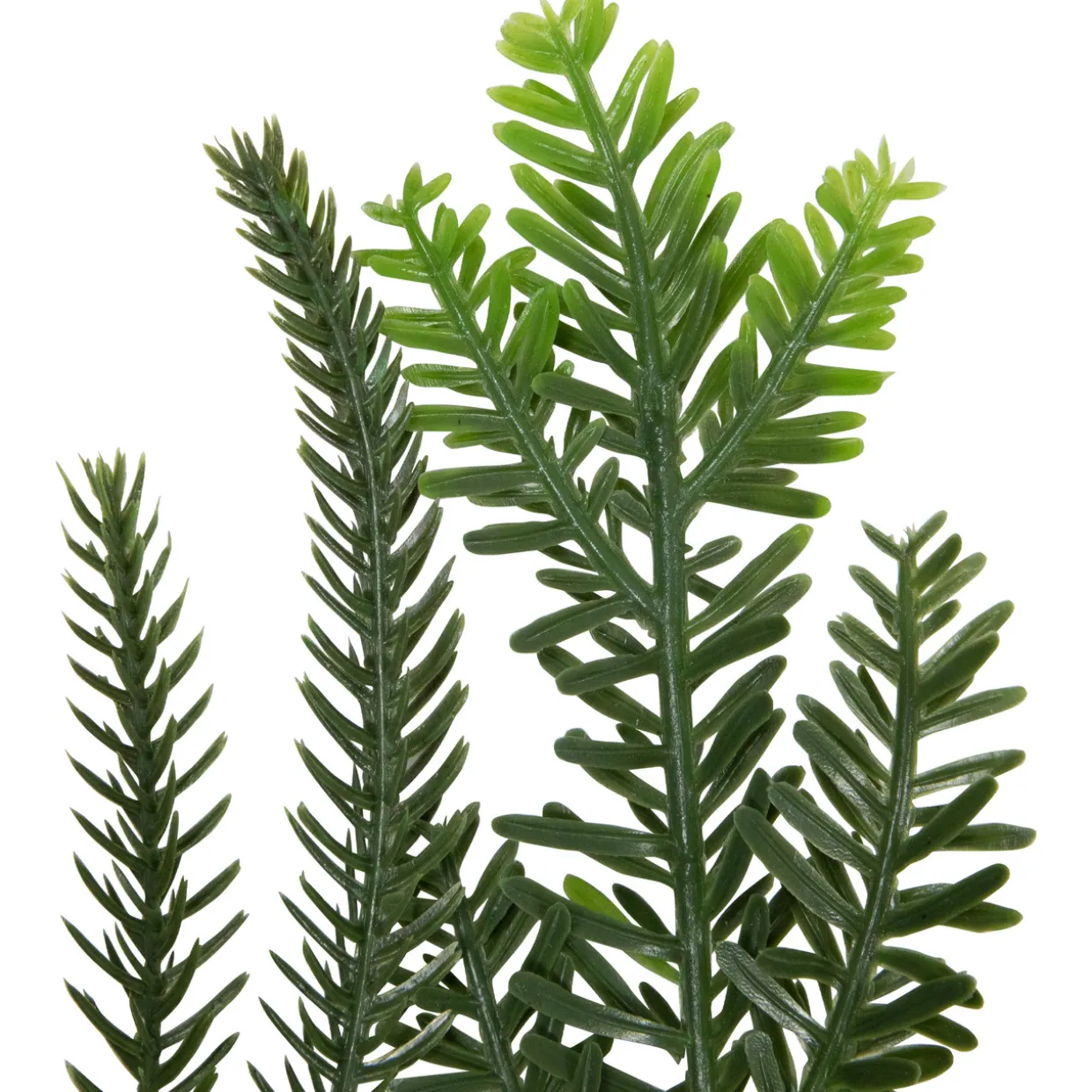 6' Mixed Foliage with Pine Cones and Berries Christmas Garland, Unlit