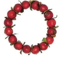 4.5" Red Crab Apple Autumn Harvest Christmas Wreath Ornament
