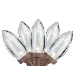25 Warm White LED C9 Christmas Lights - 16 ft Brown Wire