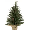 18" Warsaw Twig Artificial Christmas Tree in Burlap Base - Unlit