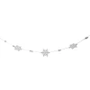 5.25' White Glitter Dusted Snowflake Christmas Garland