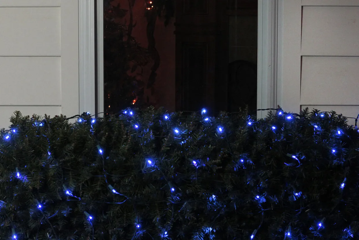 4' x 6' Blue LED Wide Angle Christmas Net Lights, Green Wire