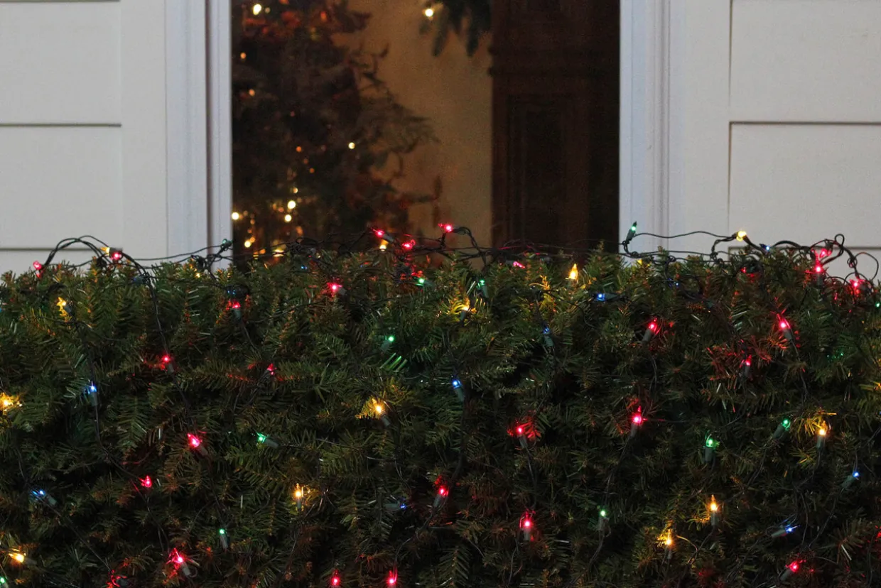 4' x 6' Multi-Color Mini Incandescent Net Style Christmas Lights - Green Wire