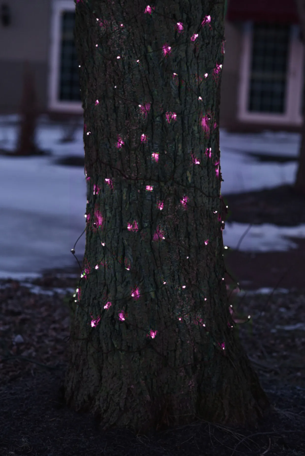 2' x 8' Pink LED Net Style Tree Trunk Wrap Christmas Net Lights - Brown Wire