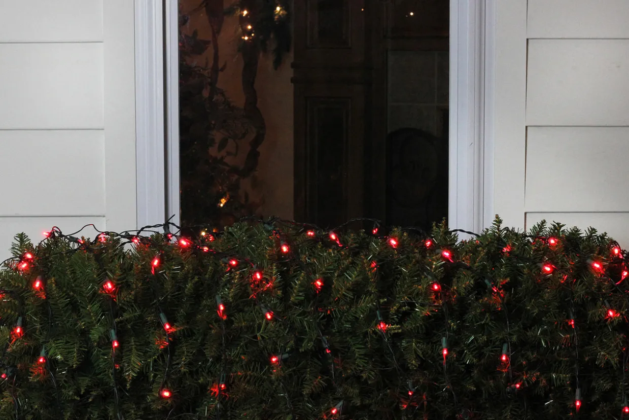 4' x 6' Red LED Wide Angle Net Style Christmas Lights - Green Wire