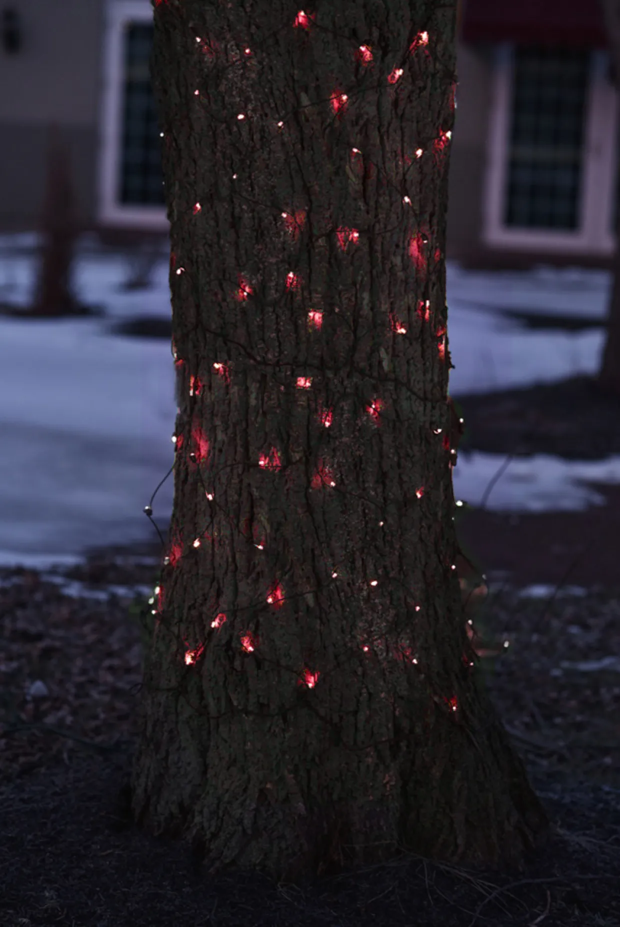 2' x 8' Red Mini Net Style Tree Trunk Wrap Christmas Lights, Brown Wire