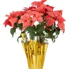 Artificial Christmas Poinsettia with Wrapped Base - 20" - Pink