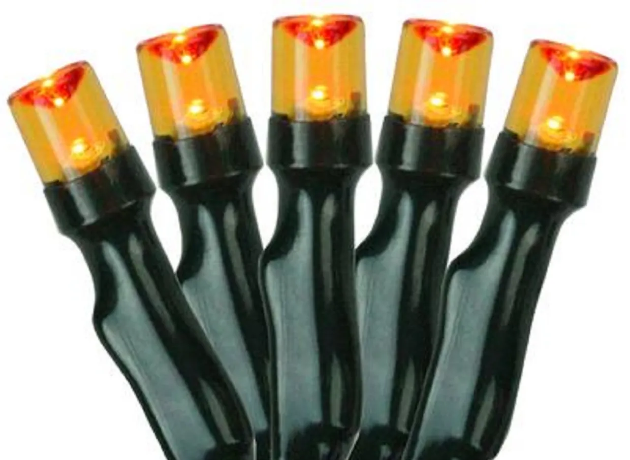 Battery Operated LED Christmas Lights - Orange - 9.5' Black Wire - 20ct
