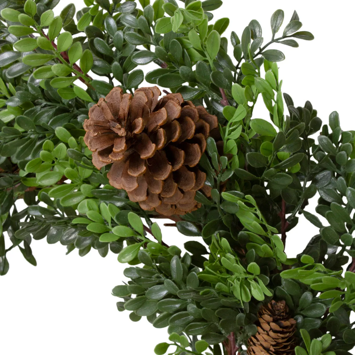 Boxwood and Pine Cone Artificial Christmas Wreath - 27" - Unlit