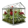 Cardinal Boxwood Artificial Christmas Greenhouse Arrangement - 9" - Red and Green