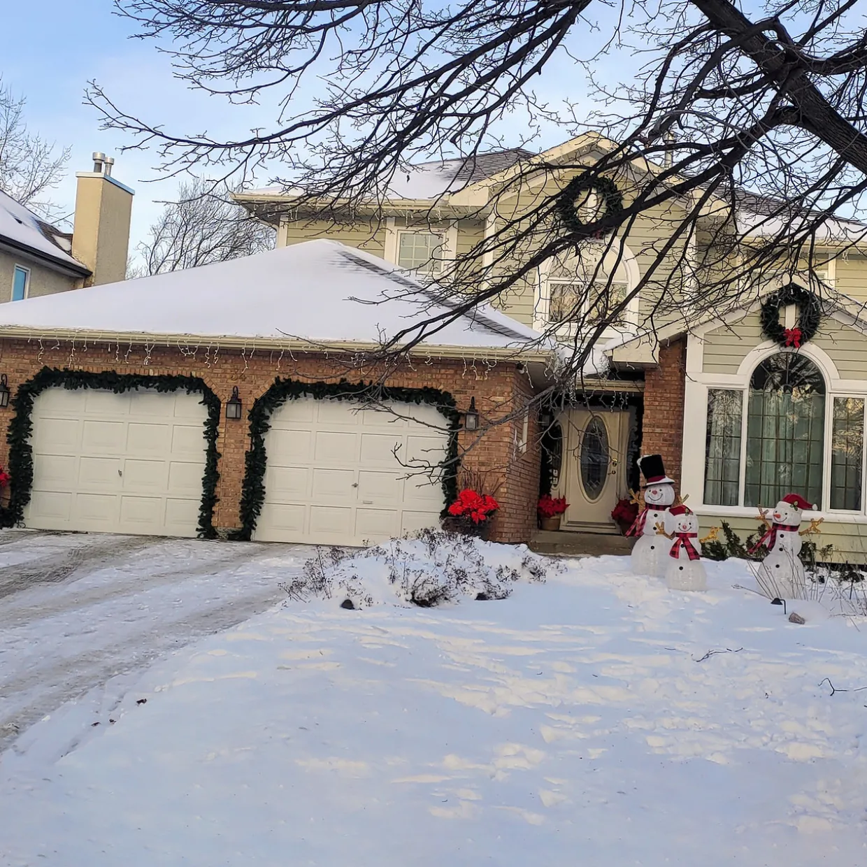 Colorado Spruce Artificial Christmas Garland - 9' x 14" - Unlit