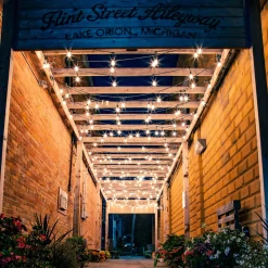 10-Count Clear Edison Glass Patio Lights, 9ft Green Wire