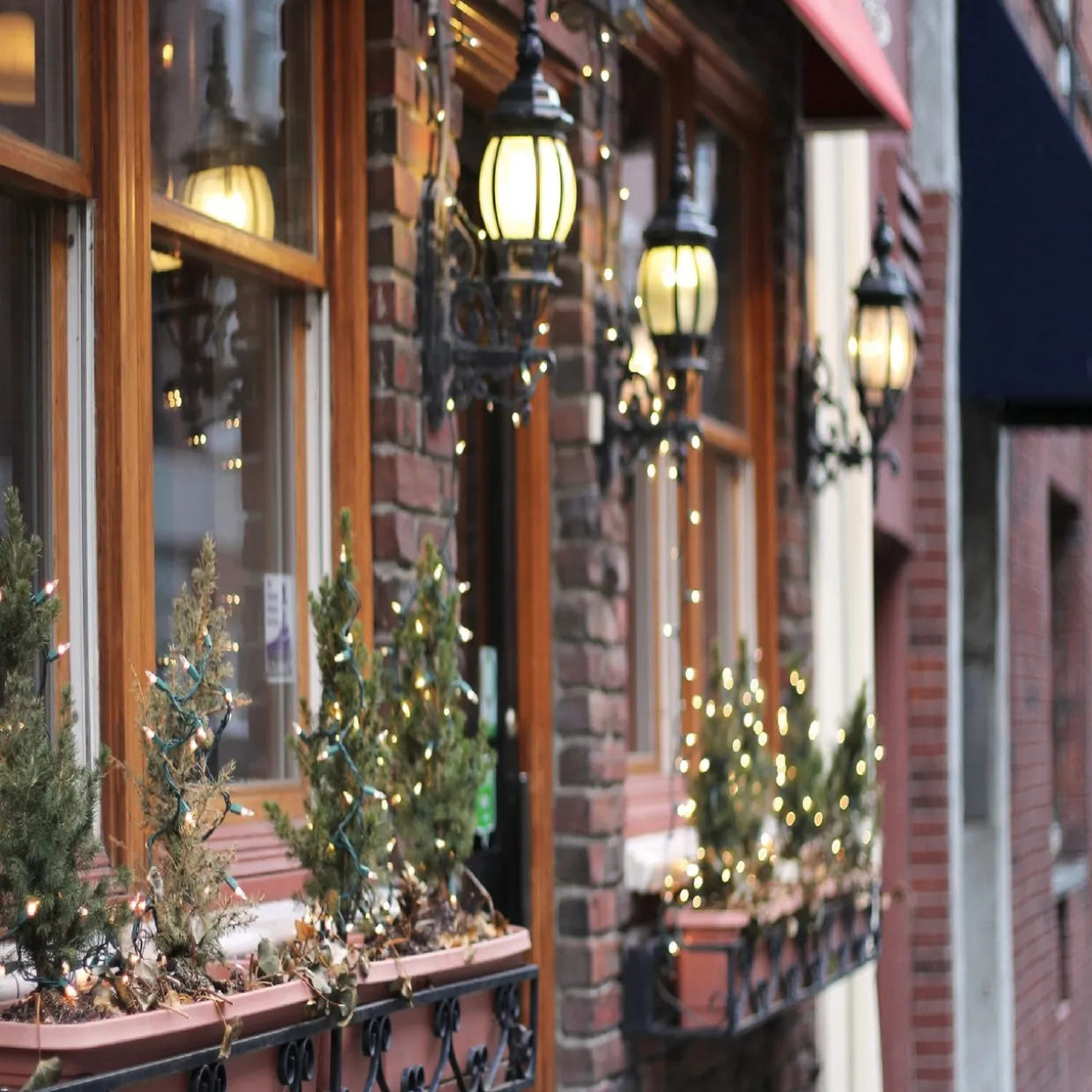 450-Count Clear Mini Christmas Light Set - 92' Green Wire