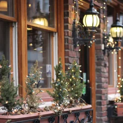 20-Count Clear Mini Christmas Light Set, 4ft Green Wire