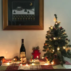 20-Count Clear Mini Christmas Light Set, 4ft Green Wire