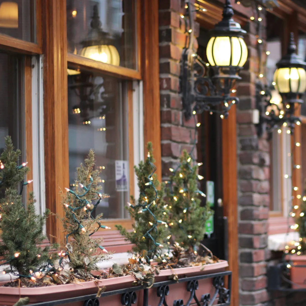 10-Count Clear Mini Christmas Light Set - 3' Green Wire