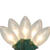 25-Count Clear Transparent C9 Christmas String Light Set, 24ft Green Wire