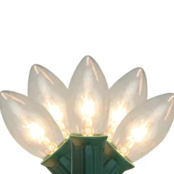 25-Count Clear Transparent C9 Christmas String Light Set, 24ft Green Wire