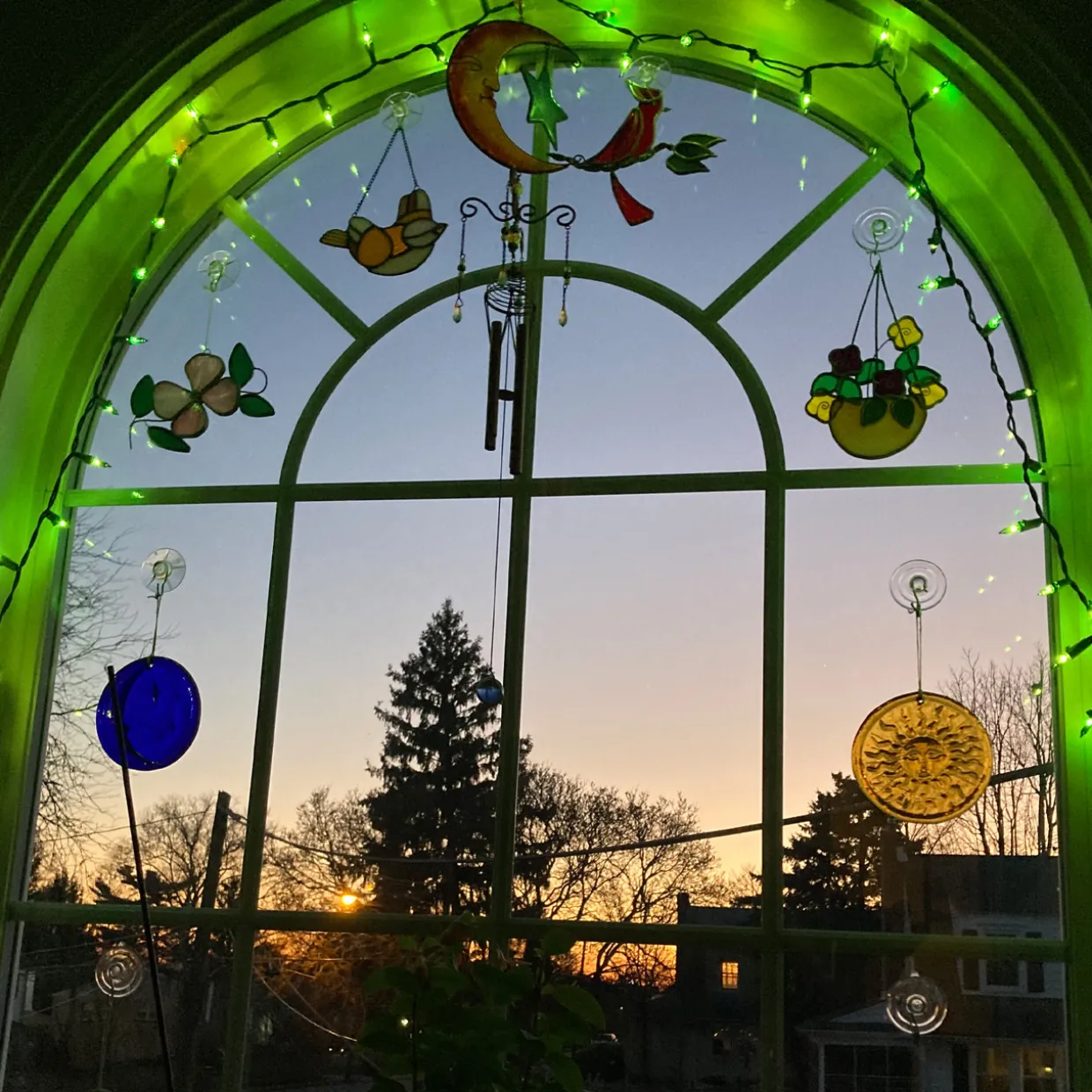 35-Count Green Mini Christmas Light Set, 7ft Green Wire