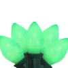 25-Count Opaque Green C7 Christmas Light Set - 24ft Green Wire