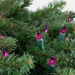 50-Count Purple Mini Christmas Light Set, 10ft Green Wire