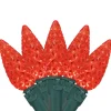 70-Count Red LED Faceted C6 Christmas Light Set, 23ft Green Wire
