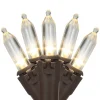 100-Count Warm White LED Mini Christmas Lights, 33 ft Brown Wire