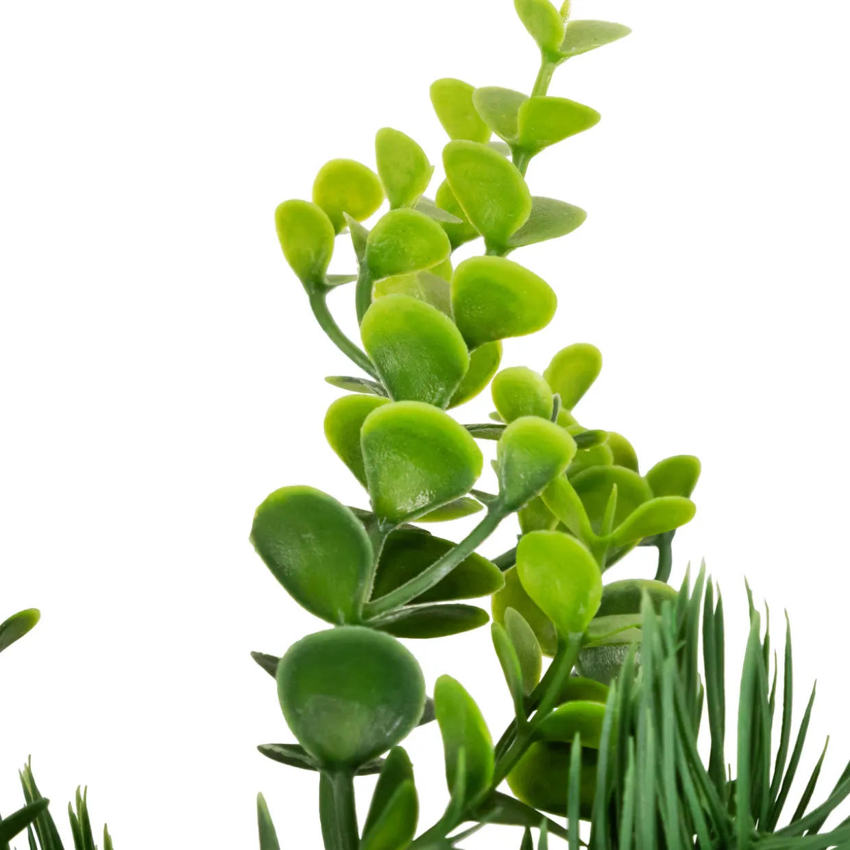 Crabapple and Berries Boxwood and Pine Artificial Christmas Wreath - 26" - Unlit