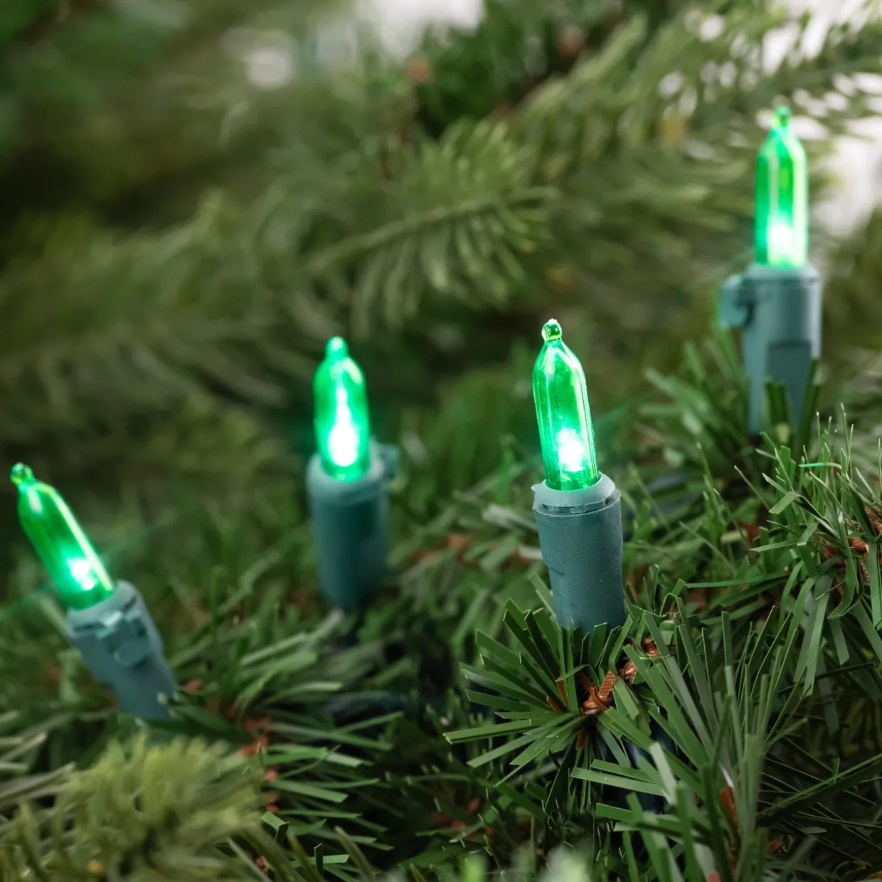 50ct Green LED Mini Christmas Lights, 16.25ft Green Wire