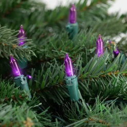 50ct Purple LED Mini Christmas Lights, 16.25ft Green Wire