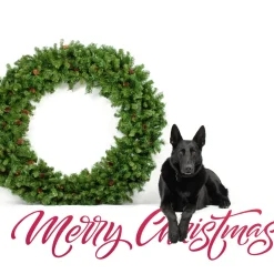 Dakota Red Pine Commercial Artificial Christmas Wreath - 5' - Unlit