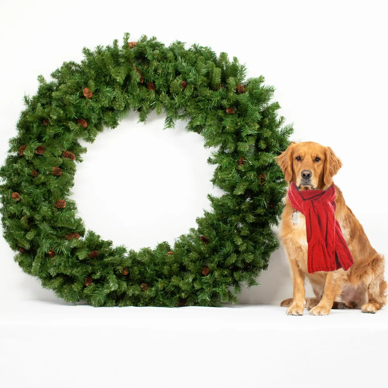 Dakota Red Pine Commercial Artificial Christmas Wreath - 5' - Unlit